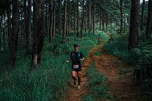 BIB: 
                            <button type="button" onclick="openModal(25660182)" class="btn btn-primary btn-sm float-right btn-popup" data-toggle="modal" data-target=".modal-high-quality">
                        <i class="fas fa-shopping-cart"></i> Add to Cart
                    </button>
                                            <button type="button" onclick="isThisMe(25660182, true)" class="btn btn-success btn-sm float-right btn-popup btn-isme hidden" data-toggle="tooltip" data-placement="bottom" title="นี่คือรูปของคุณใช่ไหม คลิกที่นี่เพื่อเอาเข้าอัลบั้ม">
                        <i class="fas fa-plus"></i> Add to album
                    </button>
                    <button type="button" onclick="isThisMe(25660182, false)" class="btn btn-warning btn-sm float-right btn-popup btn-isnotme hidden">
                        <i class="fas fa-ban"></i> Remove from album
                    </button>